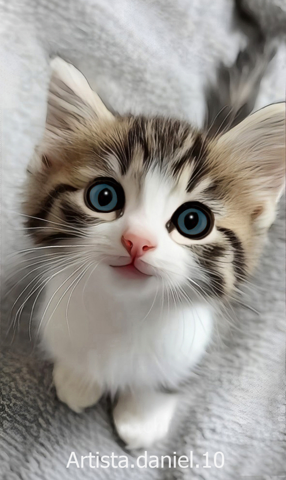 Retrato digital de mascota de gato